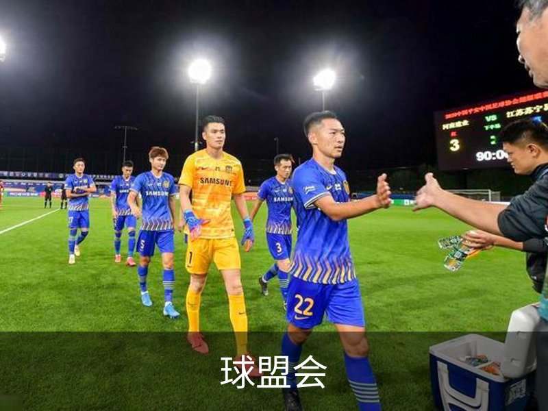 球盟会概况